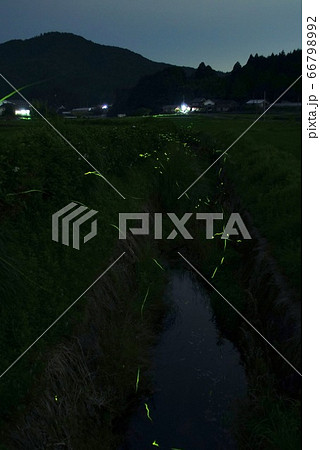 ほたるの里　和歌山県伊都郡かつらぎ町　天野 66798992