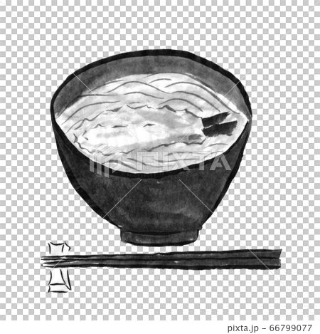 Illustration of tempura udon drawn with ink Illustration of tempura udon drawn with ink 66799077