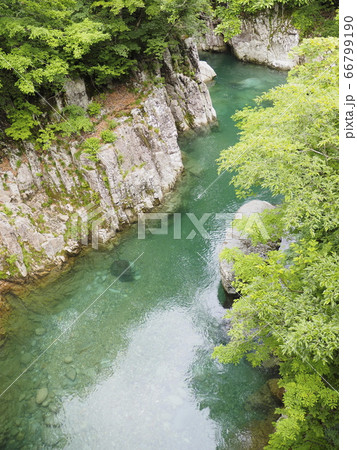 春の玉川渓谷、天狗橋から【山形県小国町】 66799190