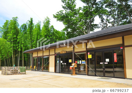 神奈川県茅ケ崎市 県立茅ヶ崎里山公園 里の家と新緑 神奈川県茅ケ崎市 県立茅ヶ崎里山公園 里の家と新緑 66799237