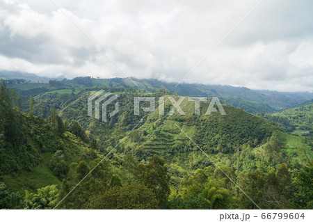 サレントの風景 66799604