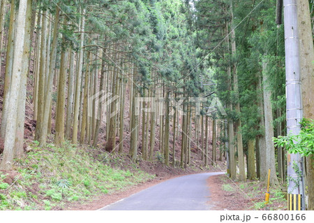 英彦山道路 英彦山道路 66800166