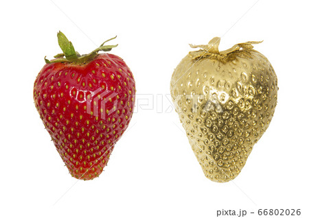 Golden and red strawberry isolated 66802026