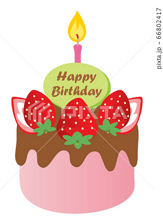 苺とチョコのお誕生日ケーキ 苺とチョコのお誕生日ケーキ 66802417