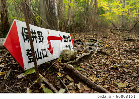 保井野登山口から石鎚山を目指す！（愛媛県西条市）※作品コメント欄に撮影位置 66803151