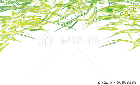 水彩のような笹 竹の背景素材のイラスト素材