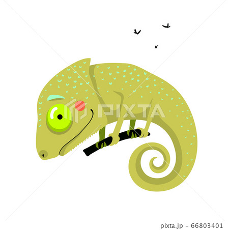 Little Amusing And Funny Green Color Chameleon のイラスト素材