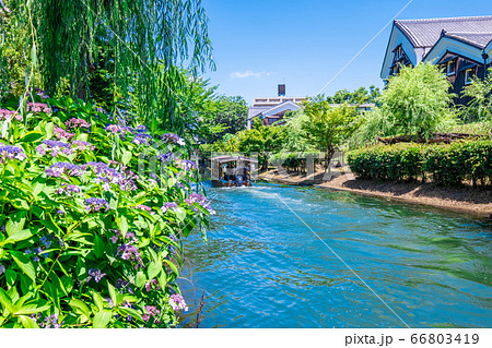 京都伏見の水路と十石舟 66803419