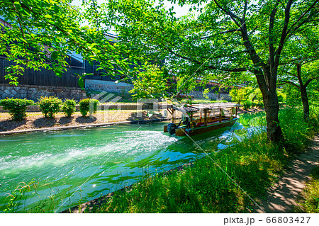 京都伏見の水路と十石舟 66803427