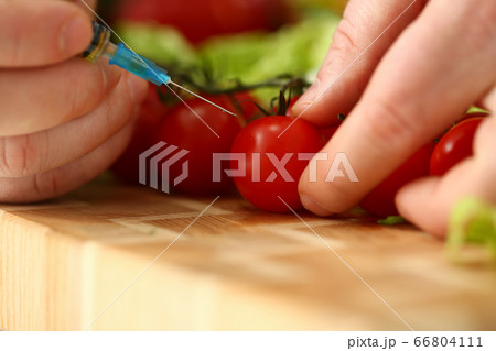 Male hands taking sample of tomato for laboratory test 66804111