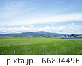 初夏の新緑と空の風景 66804496