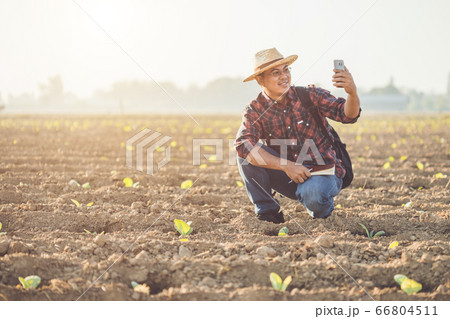 Asian young farmer or academic working in the Asian young farmer or academic working in the 66804511