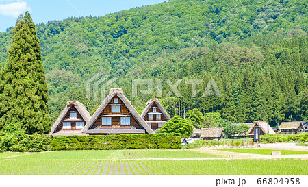初夏の白川郷(昼) 初夏の白川郷(昼) 66804958
