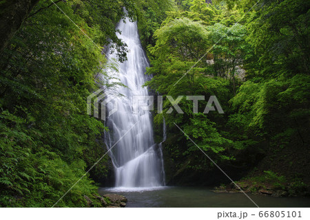 琴滝(京都府船井郡京丹波町) 琴滝(京都府船井郡京丹波町) 66805101