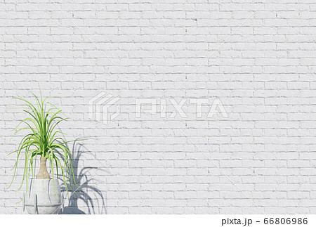 白いレンガ壁の背景に観葉植物のイラスト素材