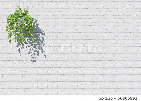 白いレンガ壁の背景に観葉植物のイラスト素材 白いレンガ壁の背景に観葉植物のイラスト素材
