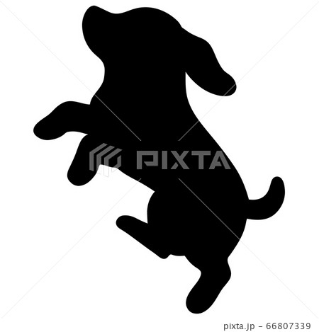 ジャンプするビーグルのシルエットのイラスト素材