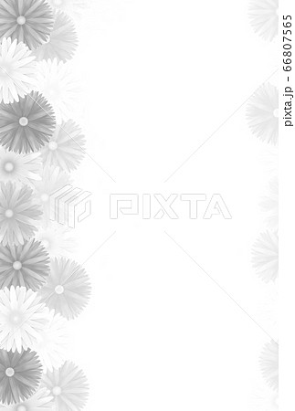 ハガキテンプレート 菊の花 モノクロ 縦のイラスト素材