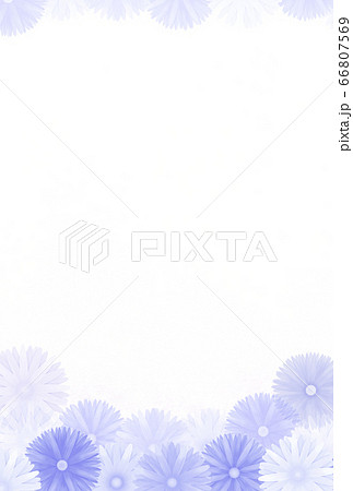 ハガキテンプレート 菊の花 紫 縦 文字横のイラスト素材