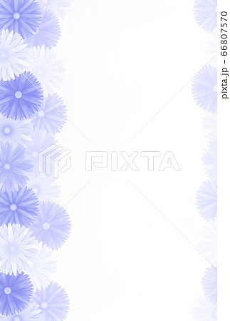 和風ハガキデザイン 和風菊の花 紫のイラスト素材