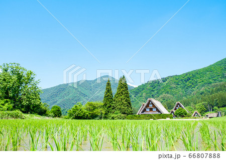 初夏の白川郷（昼） 66807888