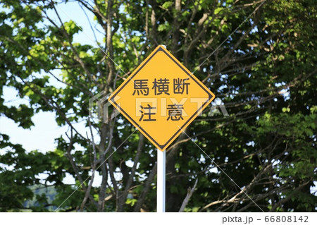馬横断注意標識 66808142