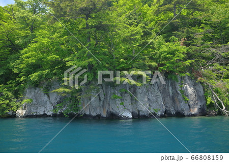 十和田湖湖畔 66808159