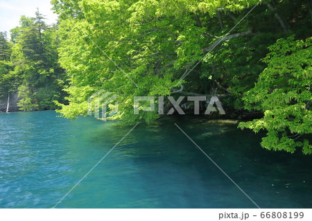 十和田湖特別保護区 66808199