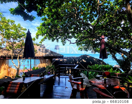 南国リゾートホテルの庭 66810108