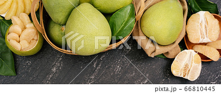 ユズ 柚 文旦 66810445