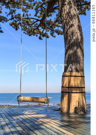 ハイジのブランコ 愛知県日間賀島 ハイジのブランコ 愛知県日間賀島 66811165