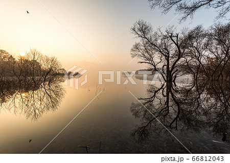 朝 反射 反影 66812043