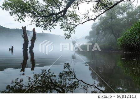 反射 霧 湖 66812113