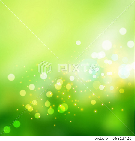 Bokeh lights effect on fresh green gradient  66813420