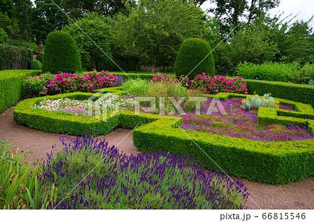 イングリッシュガーデン ラベンダー ガーデニング庭園の写真素材