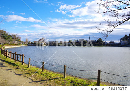 八鶴湖（千葉県東金市） 66816037