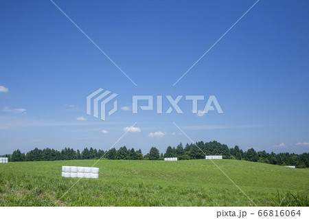 久住高原 66816064