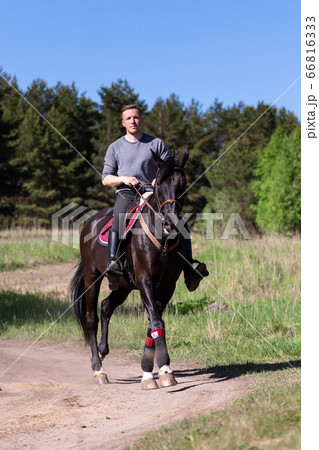 Beautiful man riding a horse on field 66816333