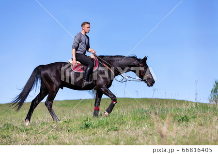 Beautiful man riding a horse on field 66816405