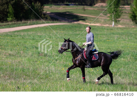 Beautiful man riding a horse on field 66816410
