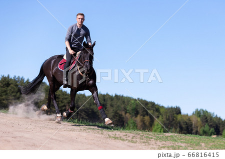 Beautiful man riding a horse on field 66816415