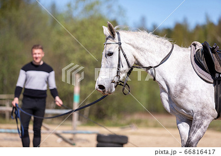 Young man works on a cord with horse 66816417