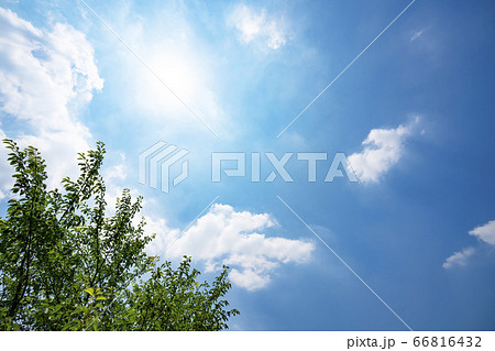 初夏の青空と森 66816432