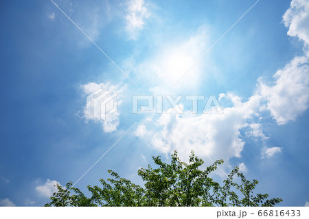 初夏の青空と森 66816433