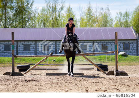 Beautiful girl riding a horse on manege Beautiful girl riding a horse on manege 66816504
