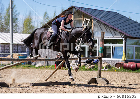 Beautiful girl riding a horse on manege 66816505