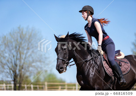 Beautiful girl riding a horse on manege Beautiful girl riding a horse on manege 66816509
