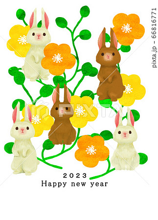 2023年　兔年　年賀状テンプレート 66816771