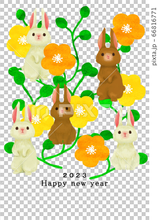 2023年　兔年　年賀状テンプレート 66816771