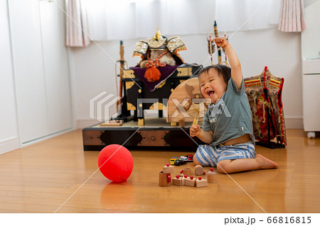 端午の節句を祝う男児　5月人形 66816815